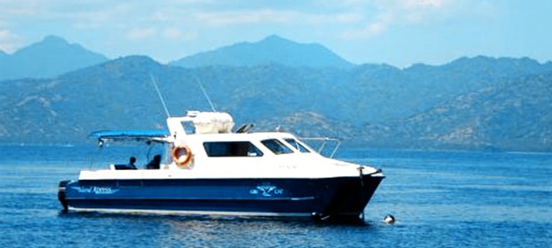 Gili Cat 1