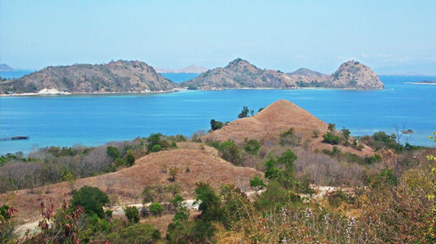 Rinca Island