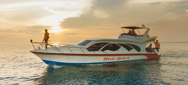 Bali Brio Cruise