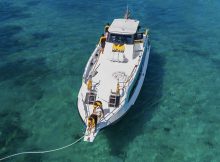 El Rey Fast Cruise Junior