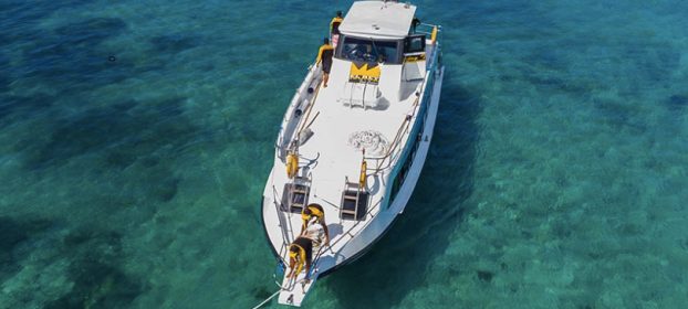 El Rey Fast Cruise Junior