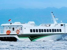 Ostina Fast boat